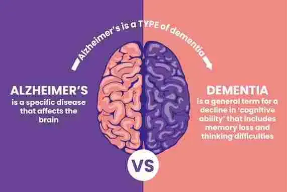 difference between Dementia and Alzheimer's