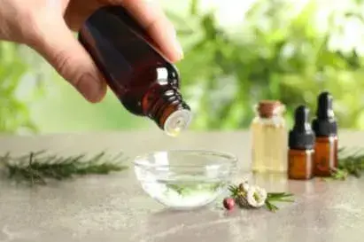 tea tree oil treatment for cold sores