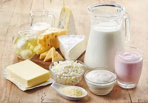Dairy Food - How to Stop Bleeding Gums