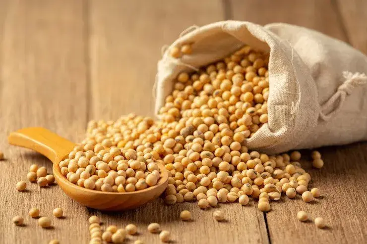 Soy - foods that lower estrogen