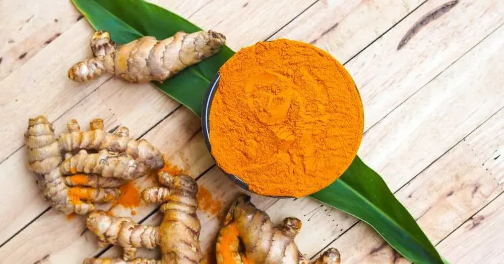 What to eat in dengue