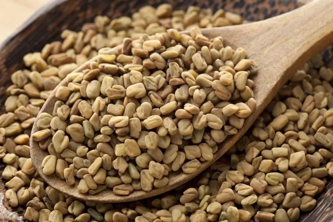 What to eat in dengue