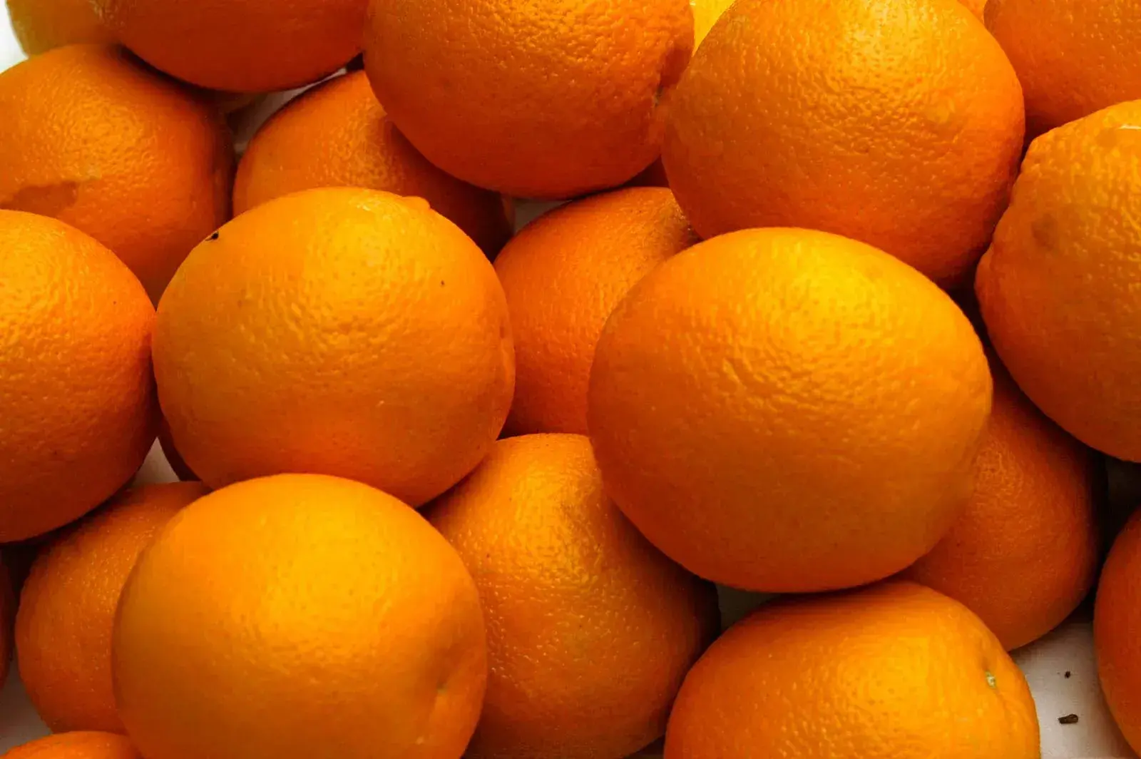 What to eat in dengue