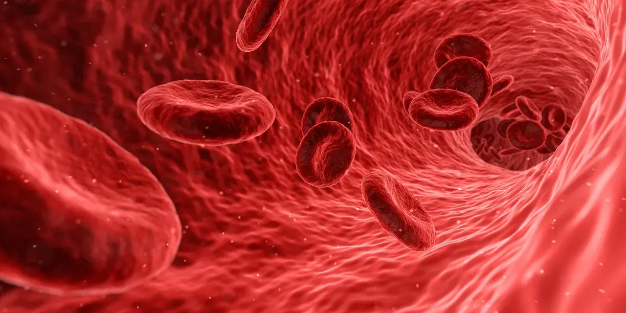 CAR T Cell Therepy for Solid Cancer Treatment