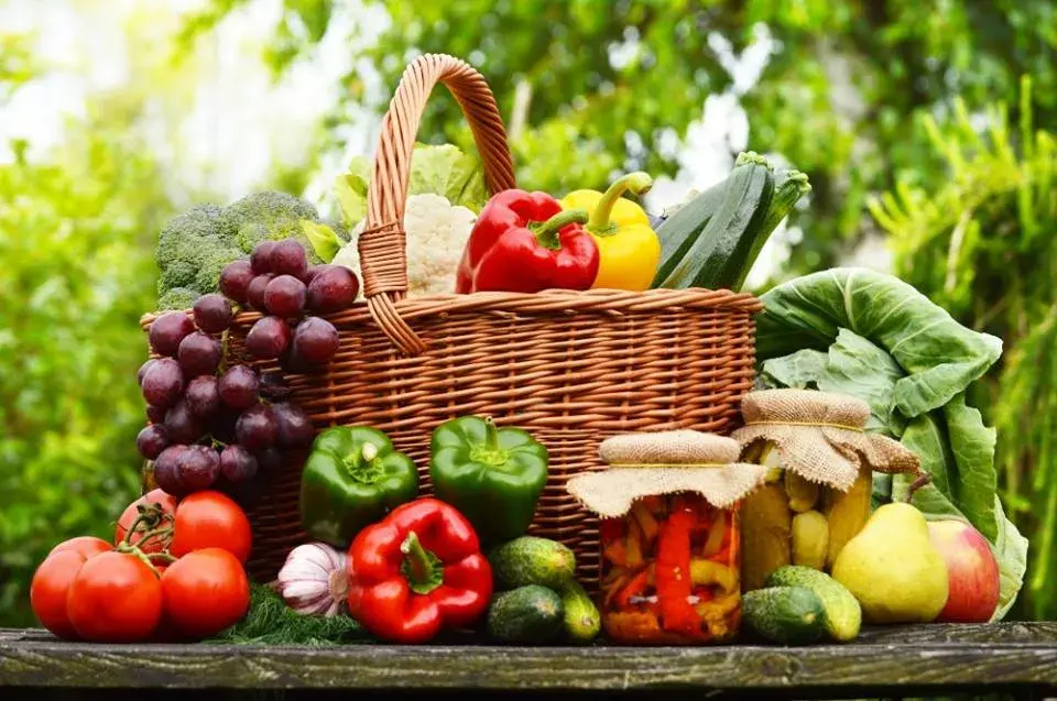 Cancer and Food, foods that prevent cancer, anti cancer foods and supplements