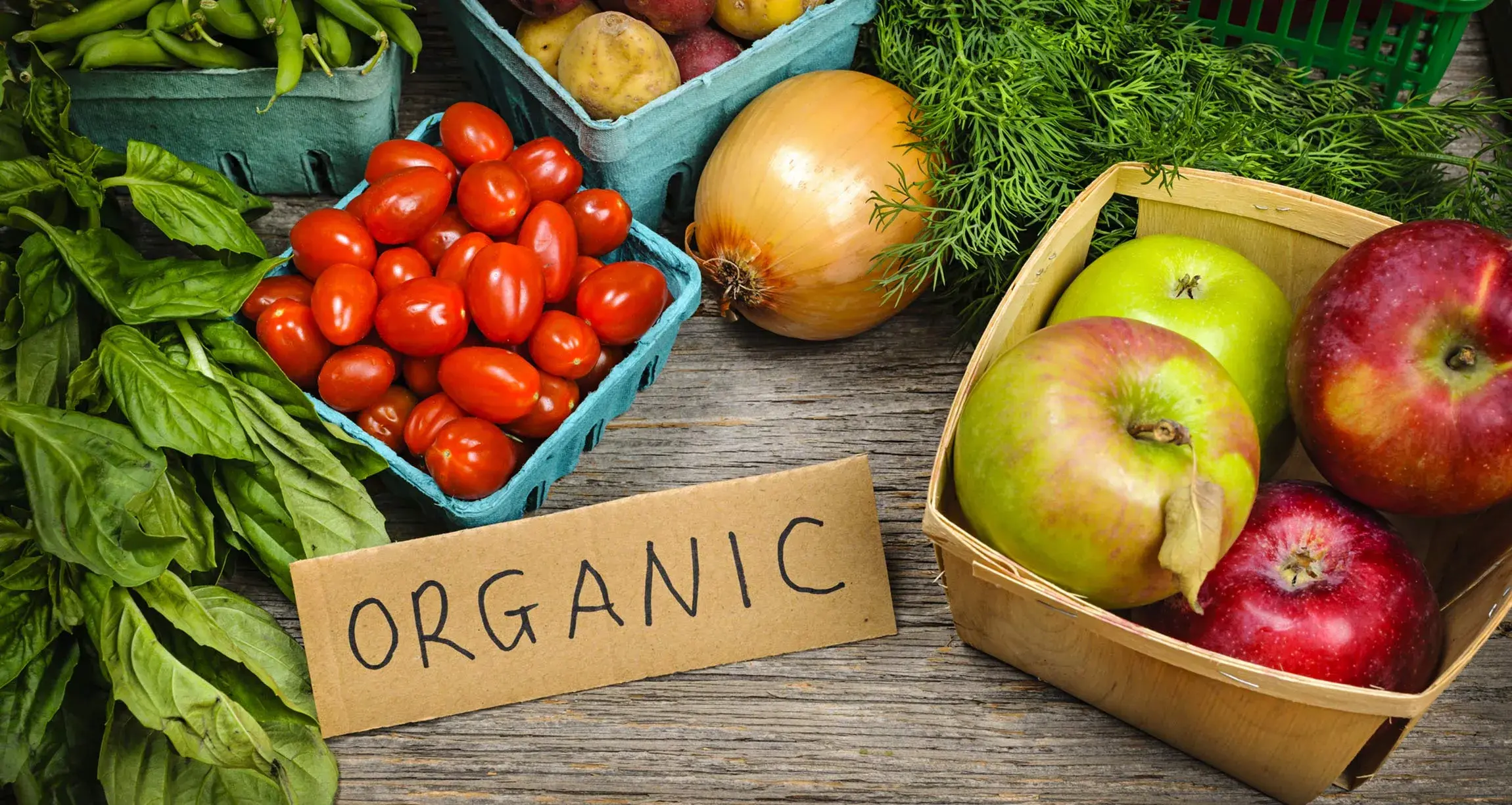 Cancer and Food, foods that prevent cancer, anti cancer foods and supplements