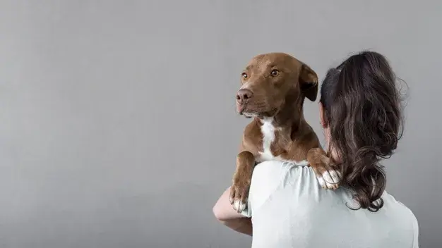 Dogs Help Ease Depression