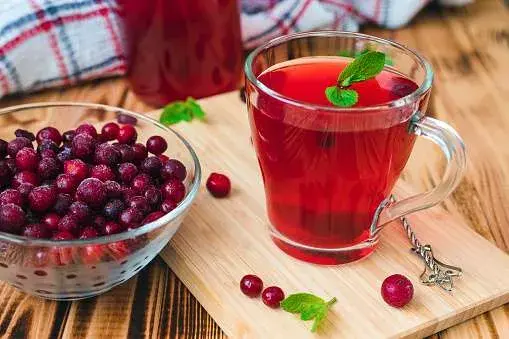 Cranberry Juice: how to get rid of vaginal odor at home