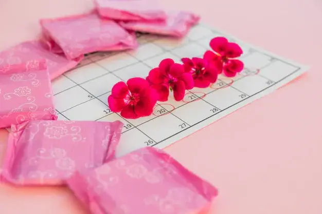 Menstrual Cycle for Menstruation