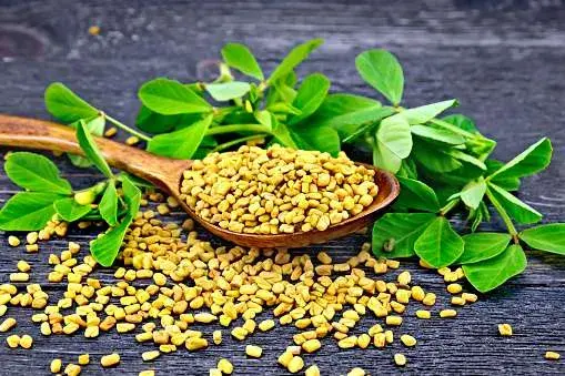 fenugreek leaves & seeds: how to get rid of vaginal odor at home