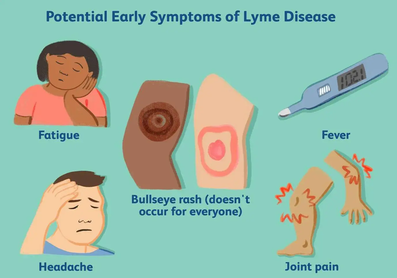 lyme disease long term symptoms