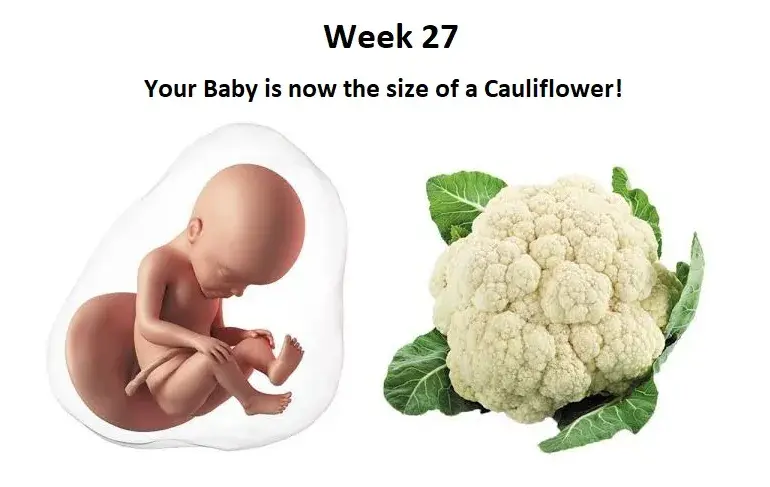 27th week of pregnancy, 27 week pregnant, baby growth in 27th week of pregnancy, 27 weeks pregnant mothercare