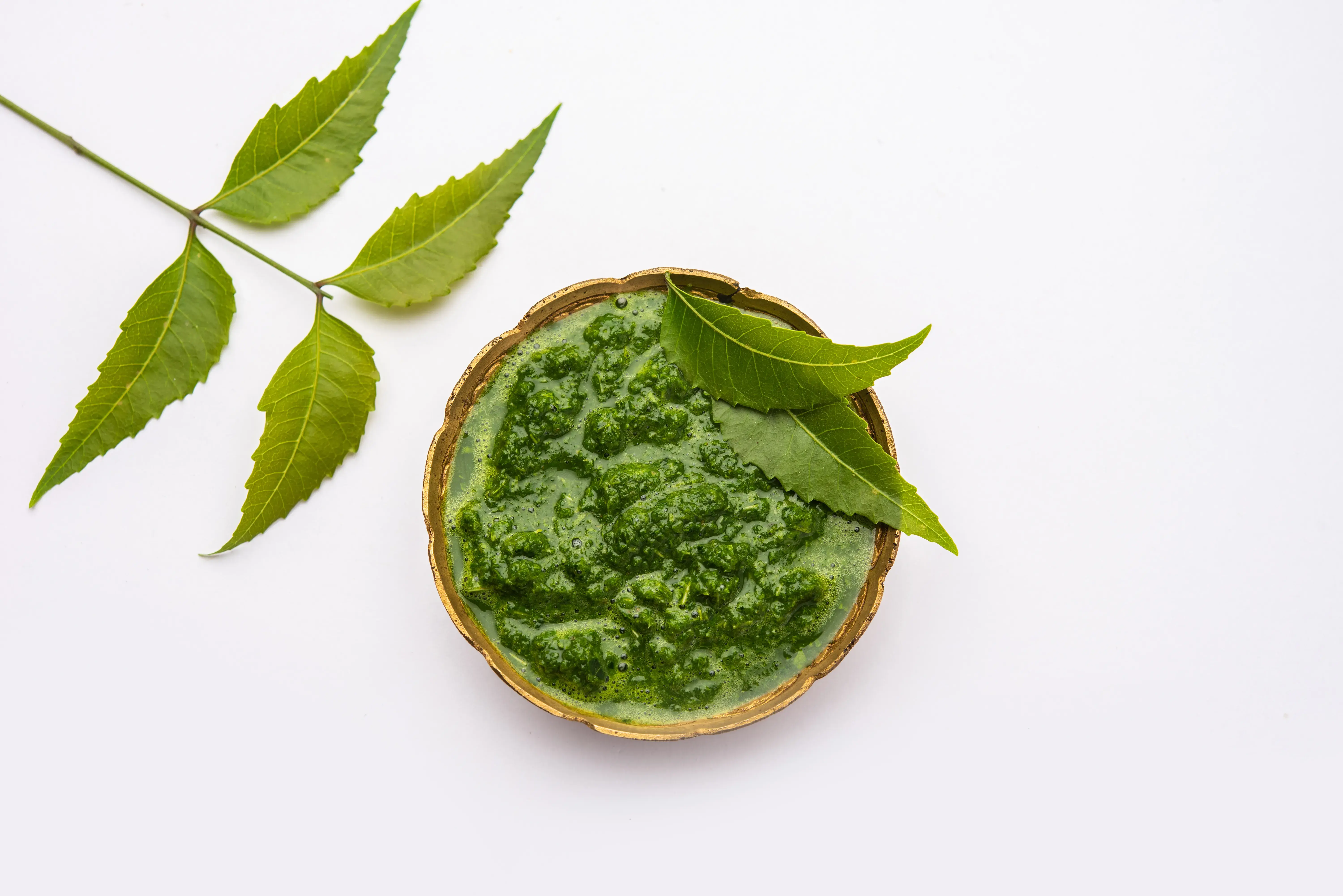 Neem leaves