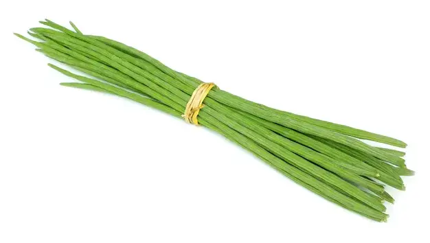 Drumstick Benefits - Moringa Oleifera 