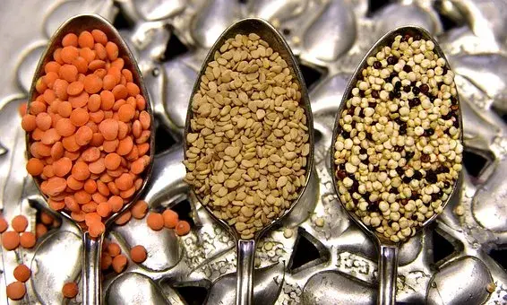 foods to eat everyday, list of healthy foods to eat everyday