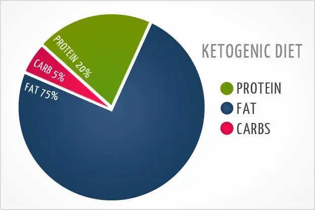 Vegetarian Keto Diet India