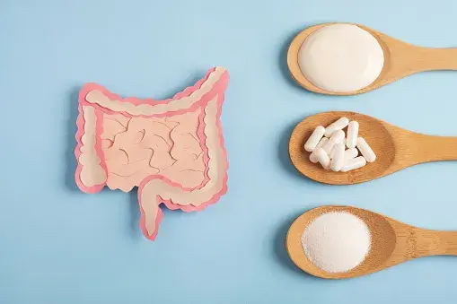 Probiotics Digestive Health