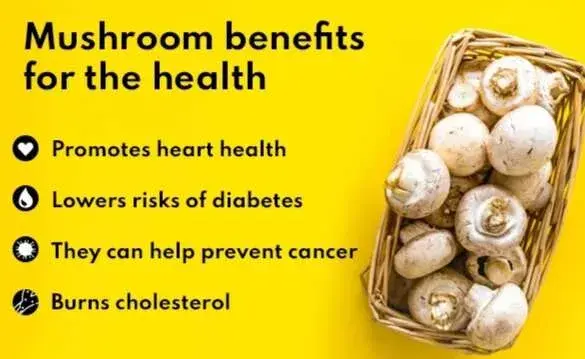Mushrooms benefits for health