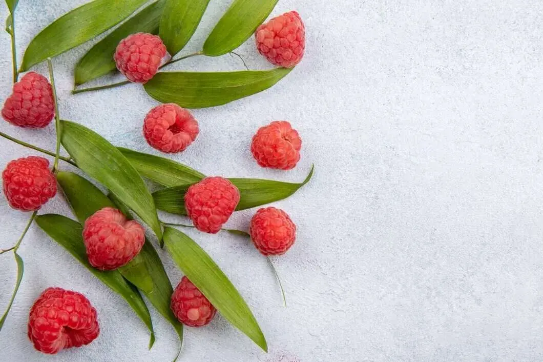 raspberry leaves tea benefits