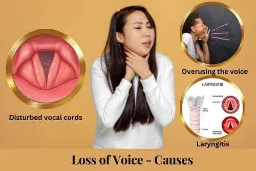how to get your voice back