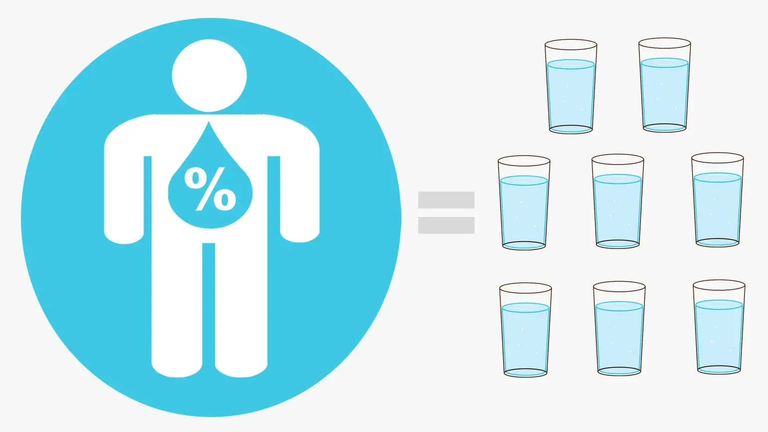 Benefits of drinking water, How much water should we drink a day