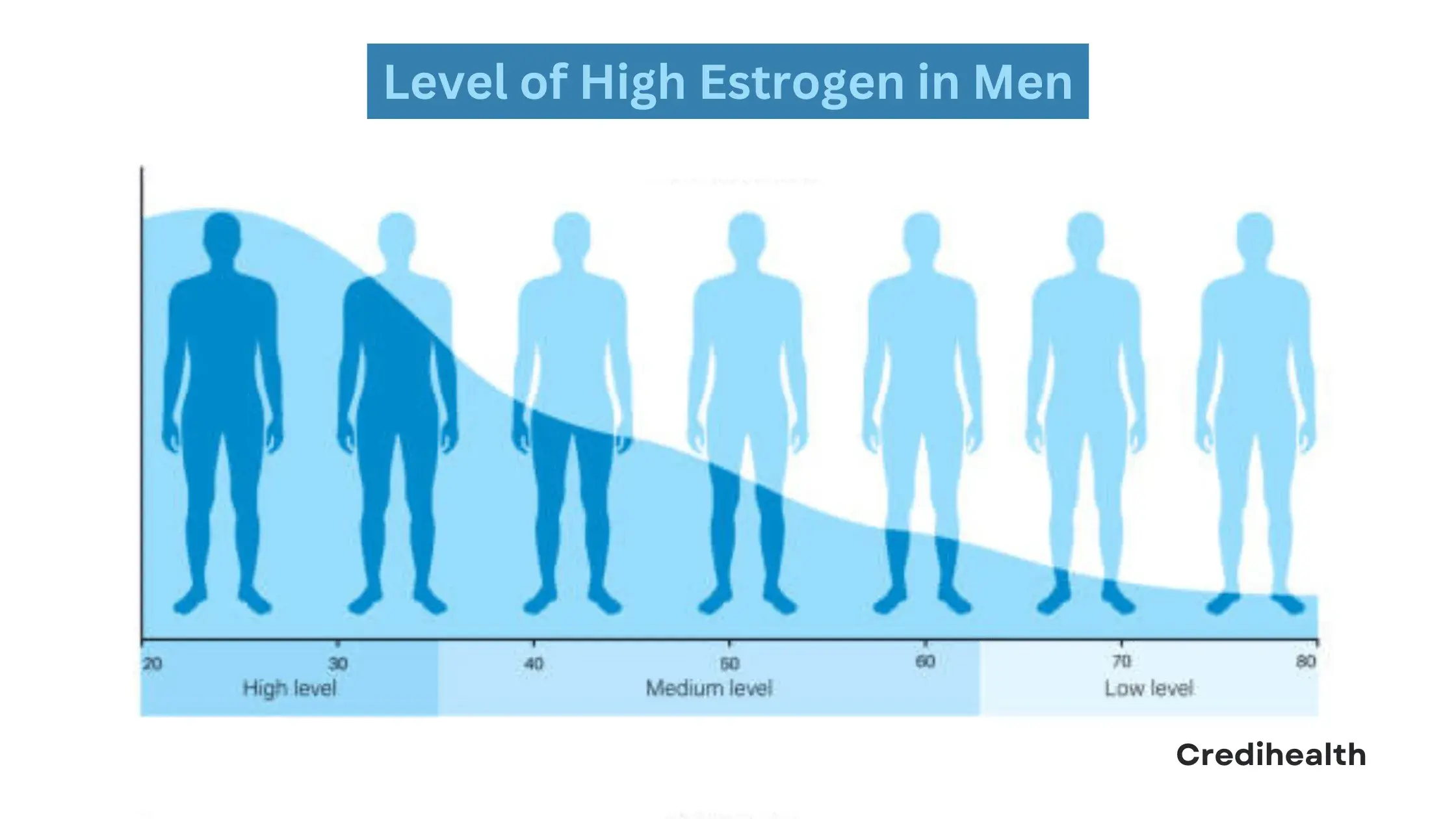 Level of High Estrogen in Men