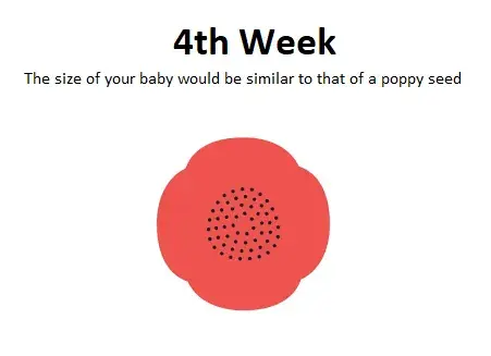 4th week of pregnancy, 4th week pregnancy symptoms, Pregnancy scan at 4 weeks, 4 weeks pregnant ultrasound
