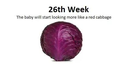 26th week of pregnancy, baby weight in 26th week of pregnancy, baby movements in 26th week of pregnancy