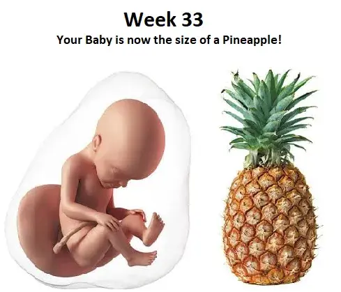 33 weeks pregnant, 33rd week of pregnancy diet, baby position in 33rd week of pregnancy