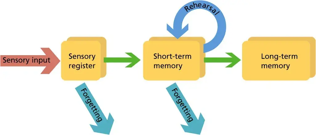 Short term memory loss, short term memory loss causes, Short term memory loss treatment, short term memory loss symptoms