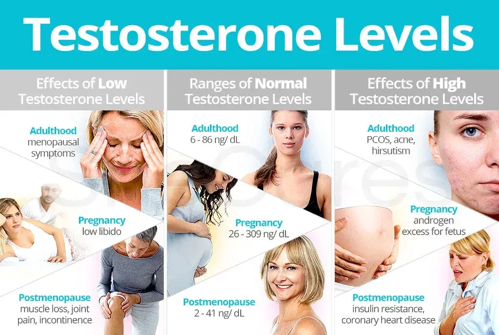 low testosterone symptoms in women