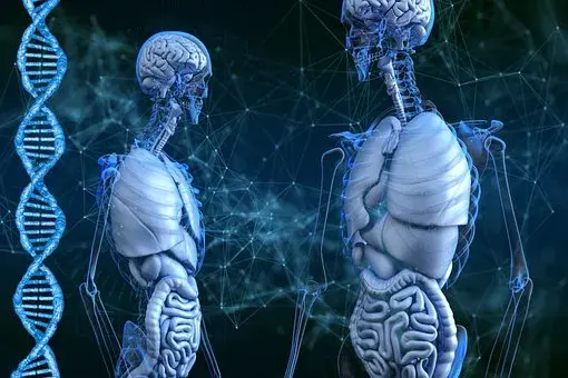 Strong Bone Health