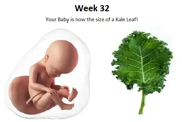 32nd week of Pregnancy, 32 weeks pregnant, 32 weeks pregnant symptoms, baby growth at 32nd week