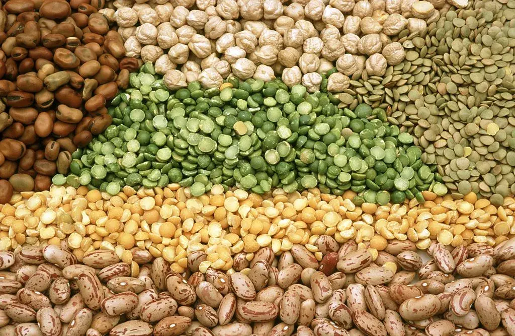 beans - Antioxidant Food 