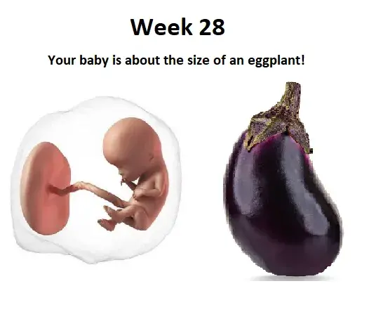 28th week of pregnancy, 28 weeks pregnant, 28 weeks pregnant symptoms, 