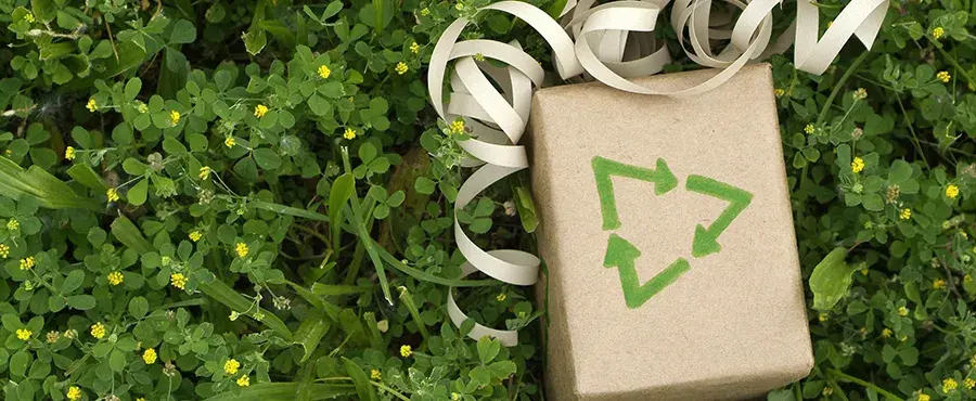 Freedomfrom Pollution on diwali