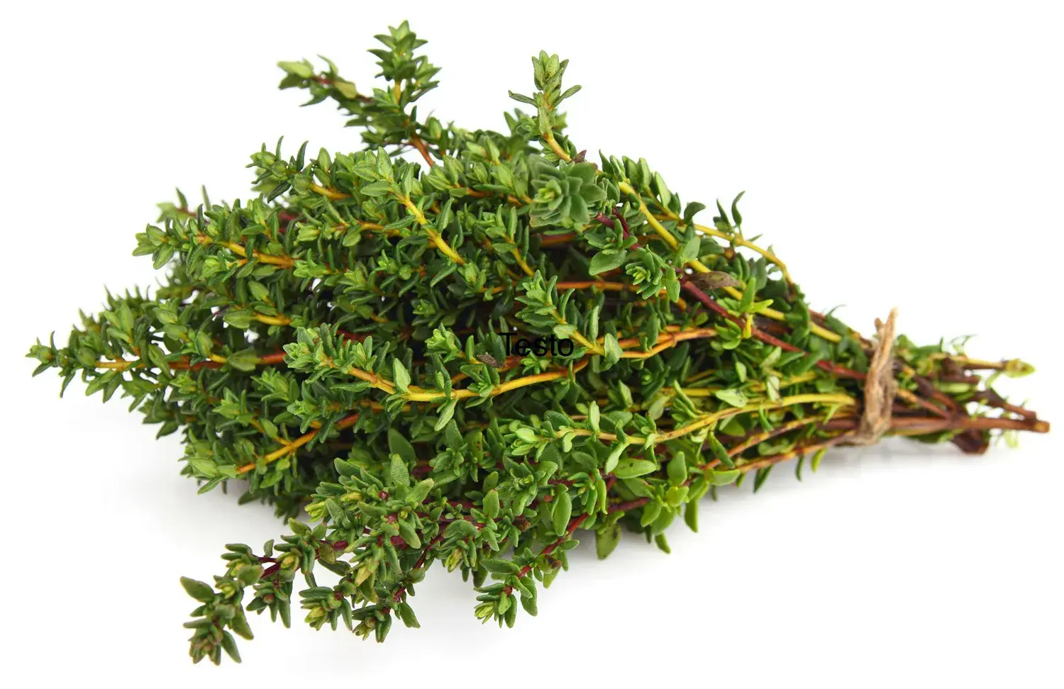 Herbs For Depression