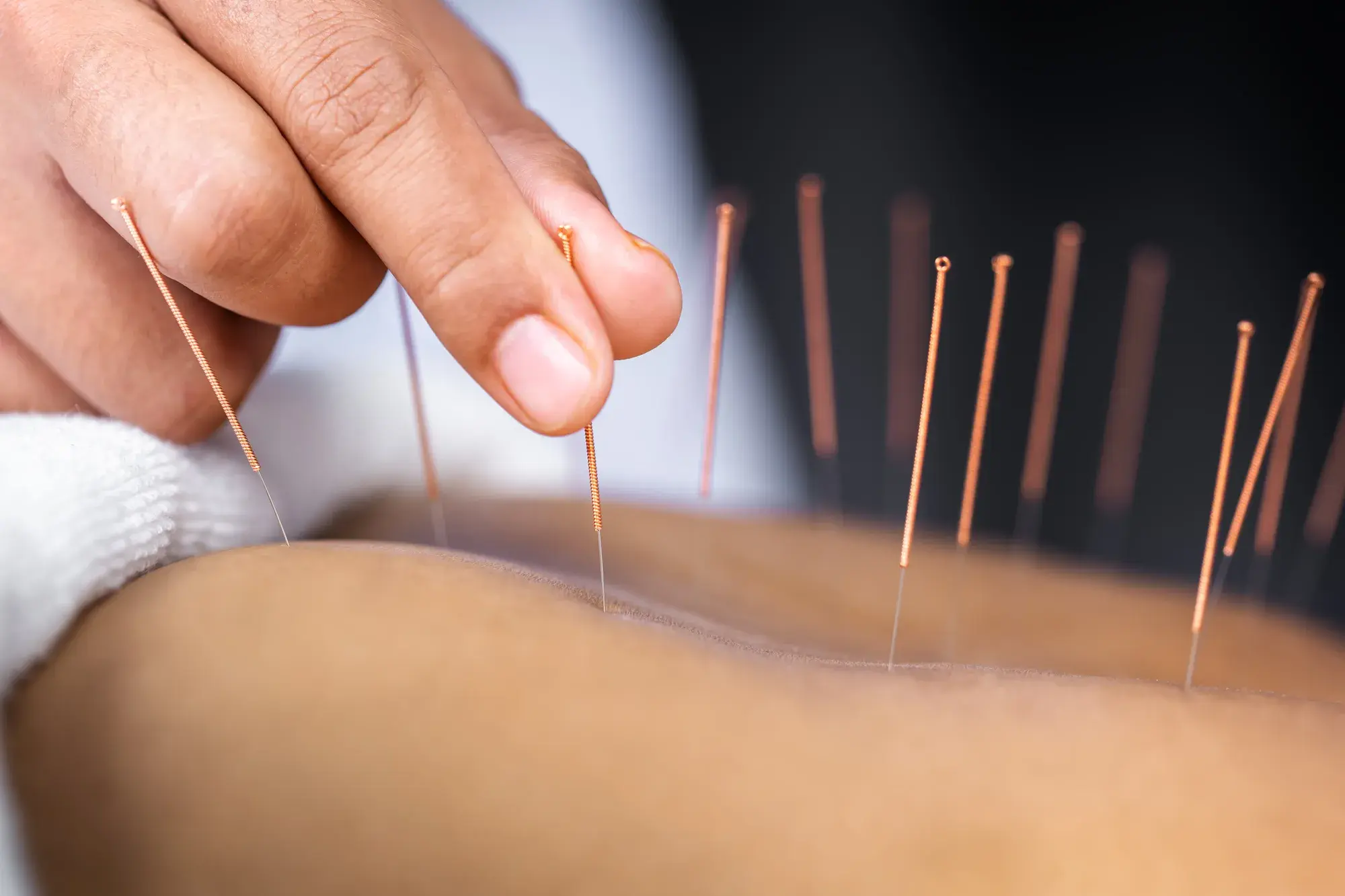 A Guide To Traditional Chinese Medicine
