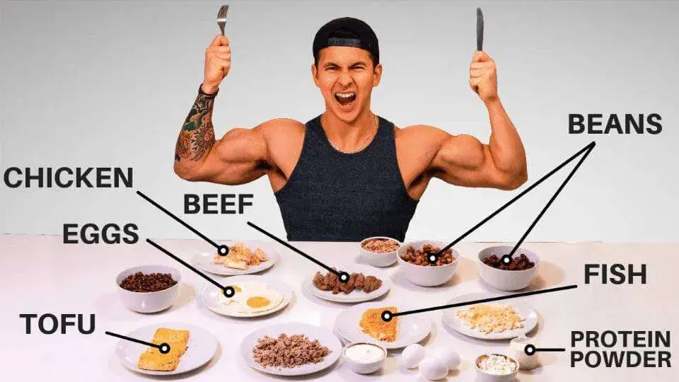 How much protein build muscle