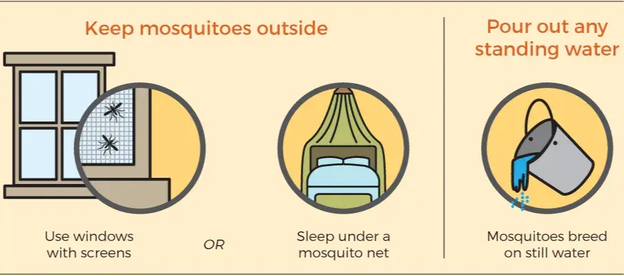 How to prevent mosquitoes from biting