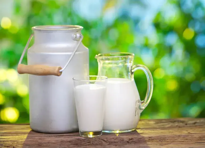 milk - vitamin d rich foods India