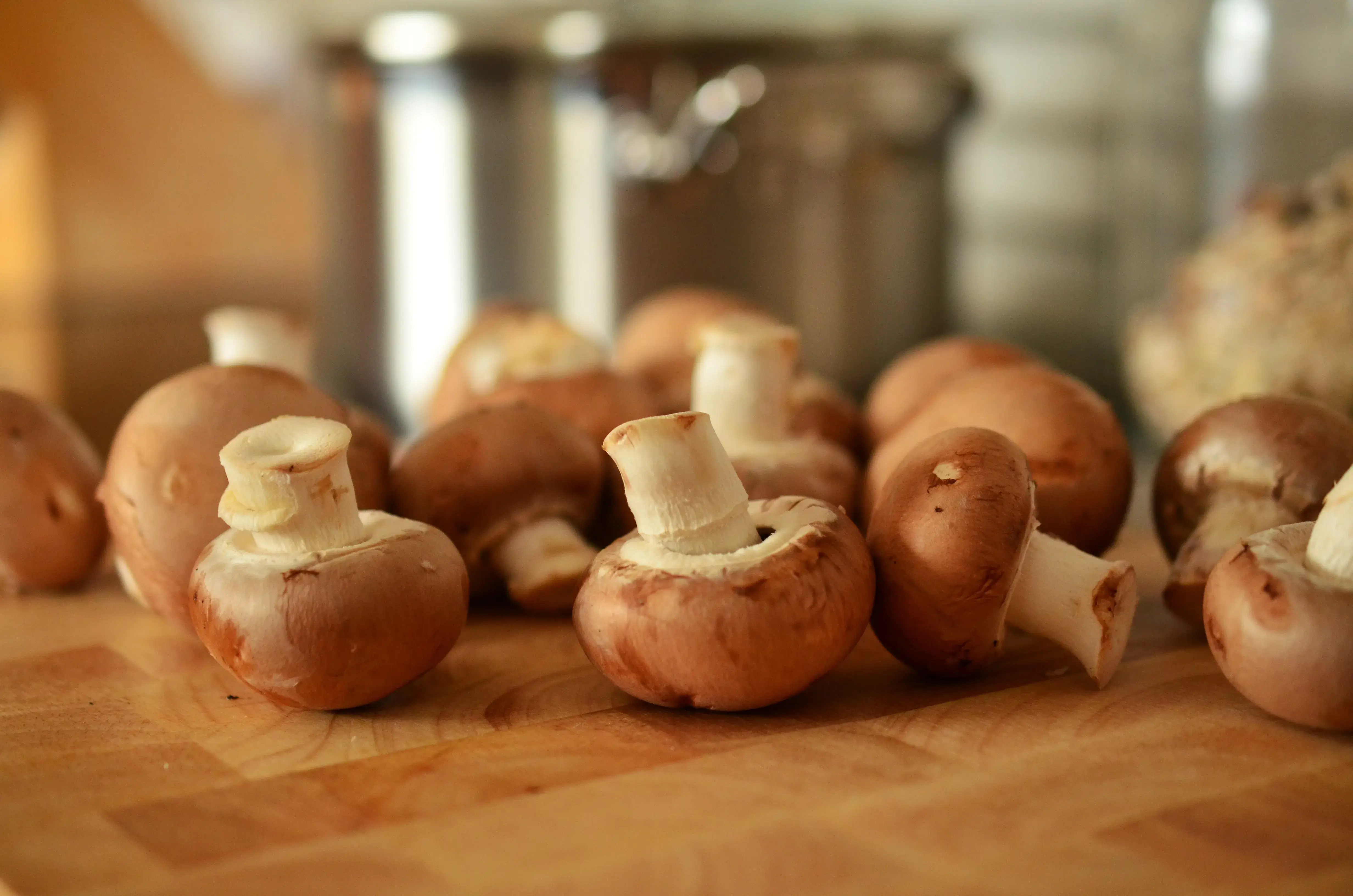 Vitamin D rich foods- Mushrooms