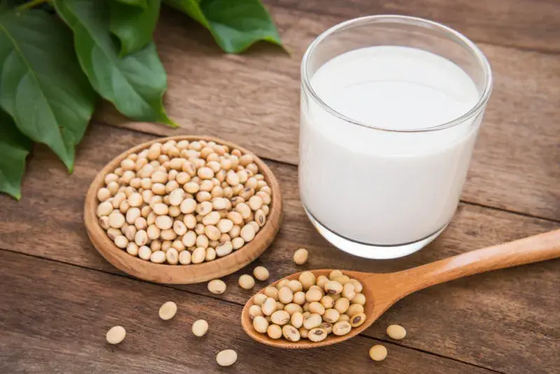 soy milk - vitamin d rich foods India
