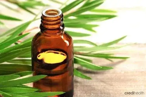 Tea tree oil- nail whitening tips, natural nail whitener