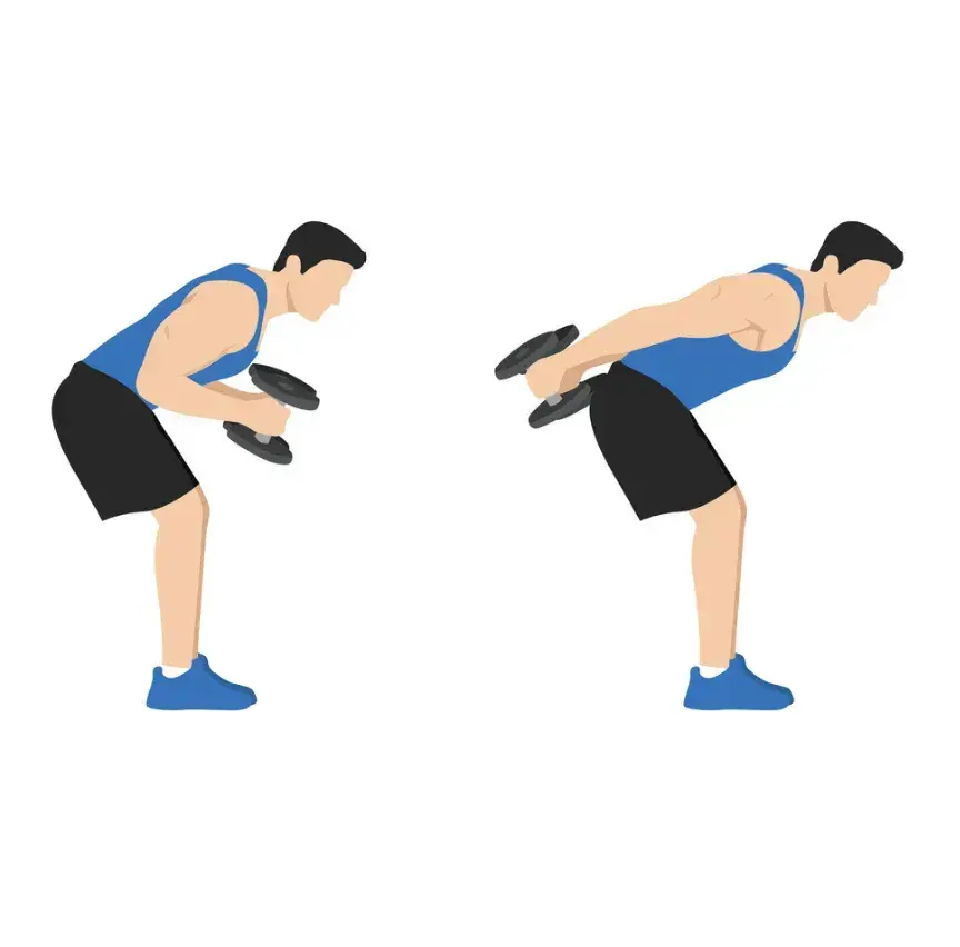 triceps kickbacks