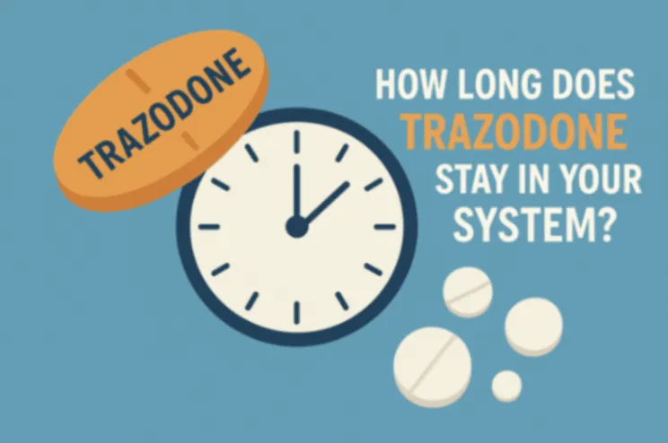 How Long Does Trazodone Stay in Your System? A Complete Guide for Duration | Updated 2026