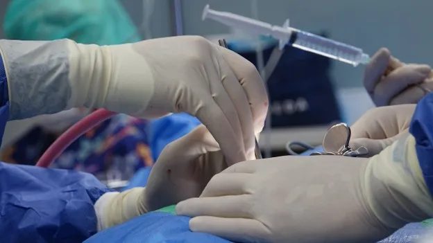 Gastric Bypass Surgery and the Journey To...