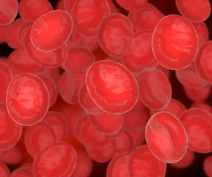 How to Increase Hemoglobin Levels Quickly? Here are 3 Bes...